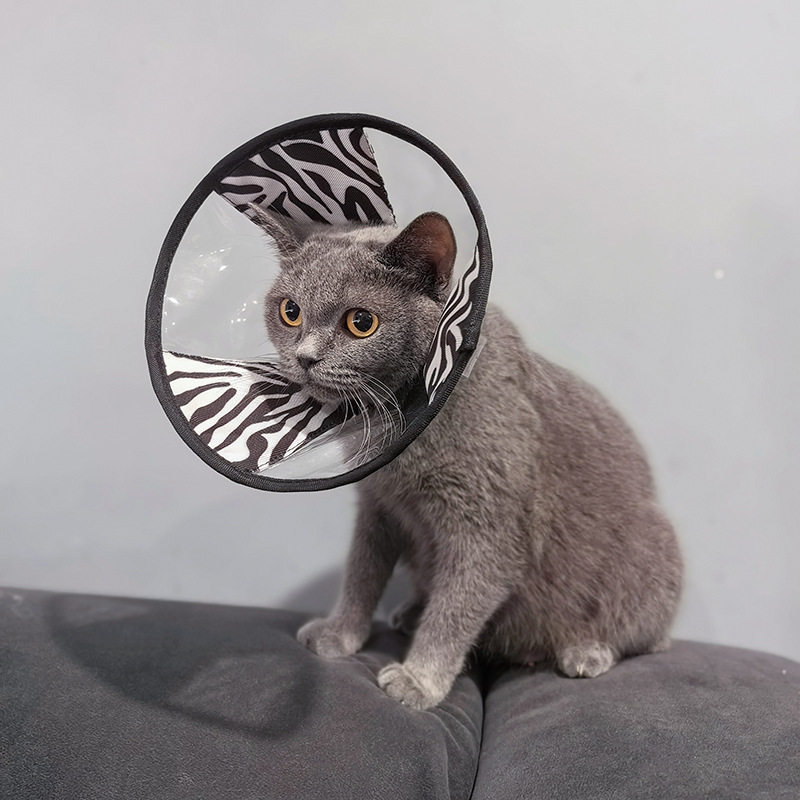 狗狗伊丽莎白圈加深可折叠绝育圈猫咪伤口护理防舔咬脖圈宠物用品,淘宝优惠券,粉丝福利购,淘宝优惠卷