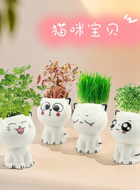 可爱猫咪小草盆栽陶瓷种植高颜值