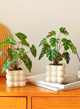 现货速发风假绿植小盆栽室内花摆设办公桌面装饰室内绿色摆件