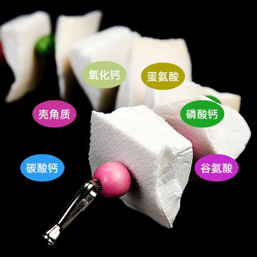 鹦鹉专用墨鱼骨串牡丹玄凤虎皮鸟食专用啃咬营养磨牙用品磨牙零食 - 图3