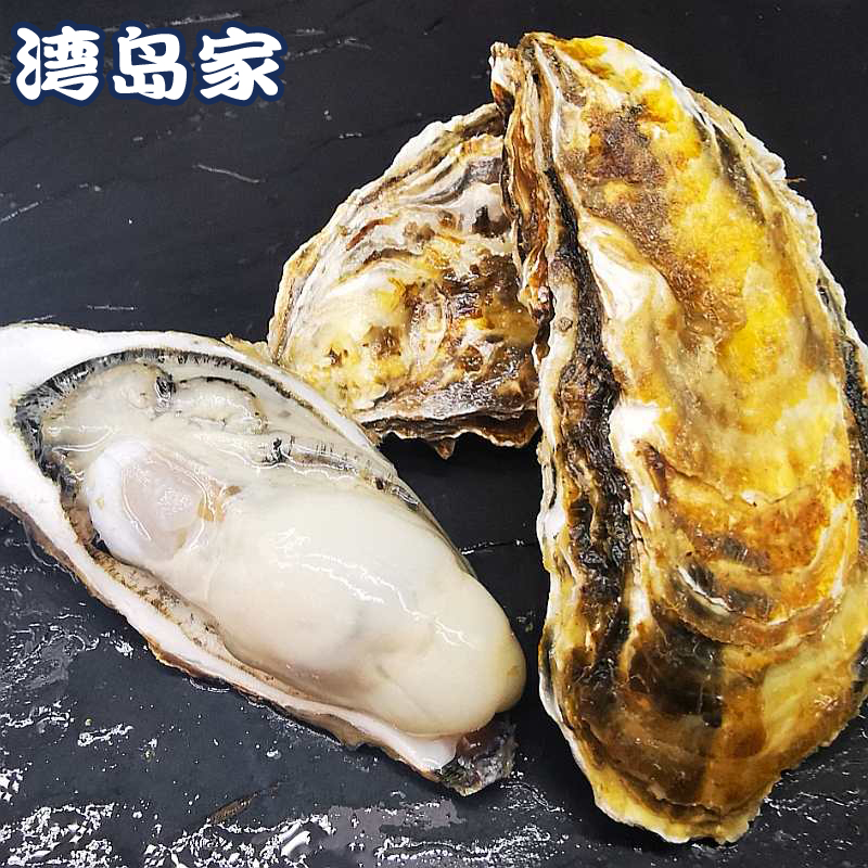 新低！4.9分高好评，国家地标产品：5斤 乳山 鲜活牡蛎