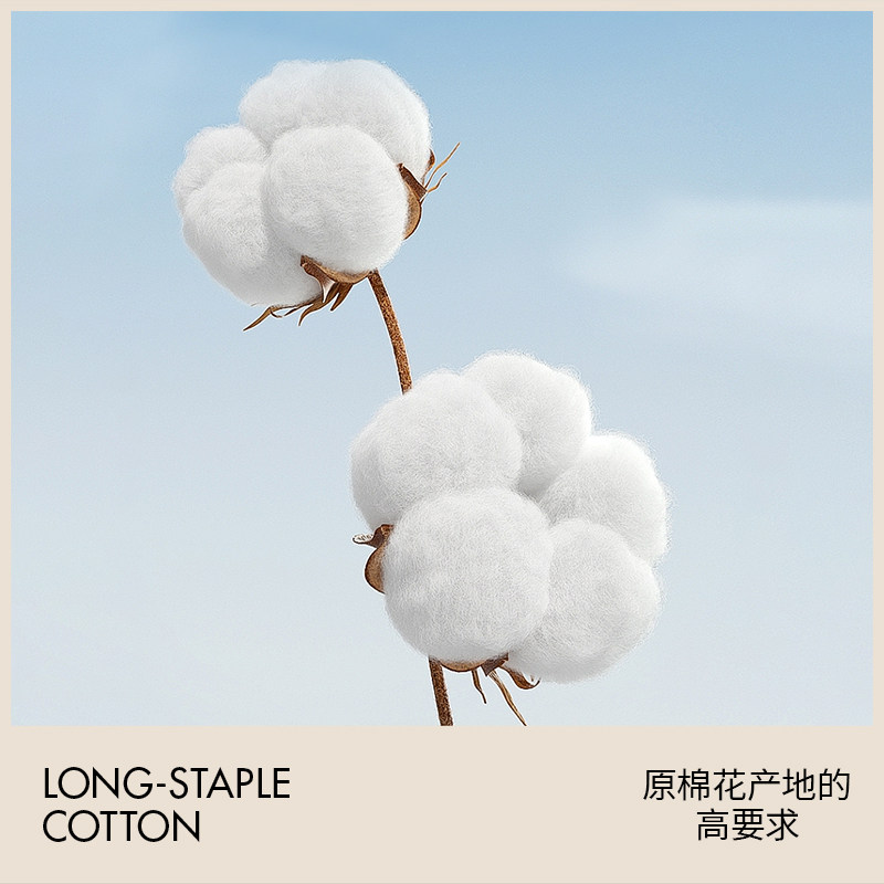 MARKCROSS【暴富】暗纹提花全棉床上四件套纯棉床品床单四季款