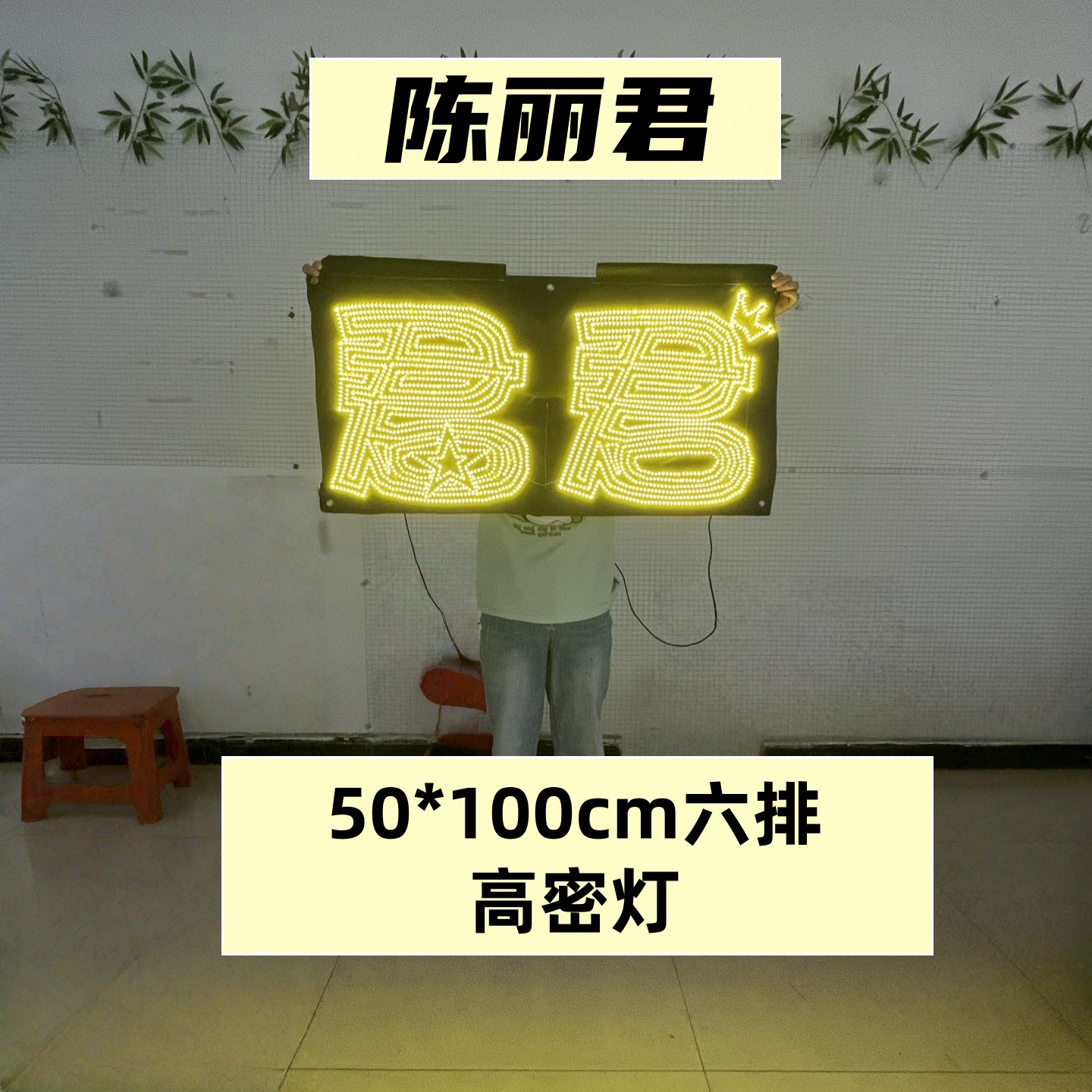 陈丽君  君君 明星演唱会应援灯牌超薄折叠发光灯牌团购链接 - 图2
