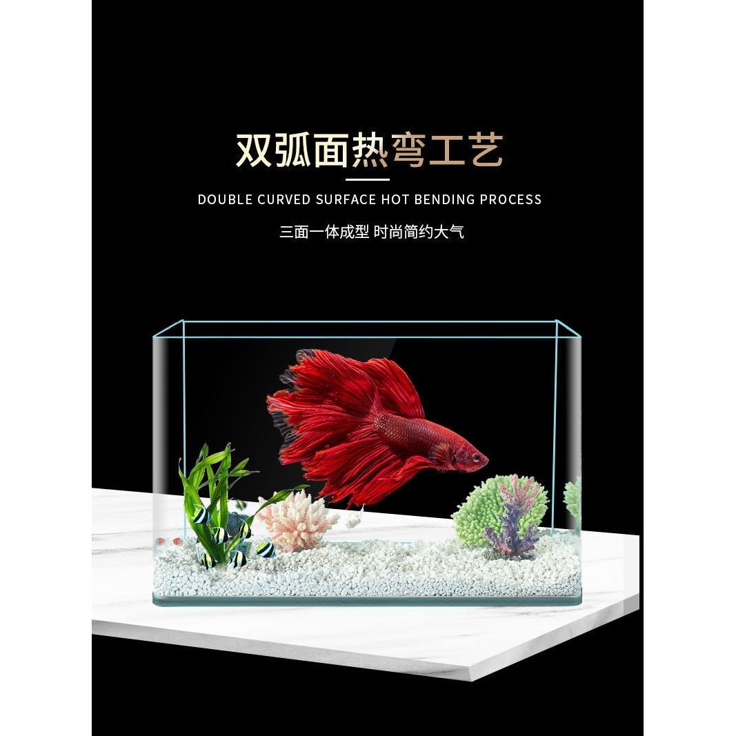 高清热弯玻璃鱼缸客厅小型桌面水族箱迷你免换水金鱼乌龟造景裸缸 - 图2