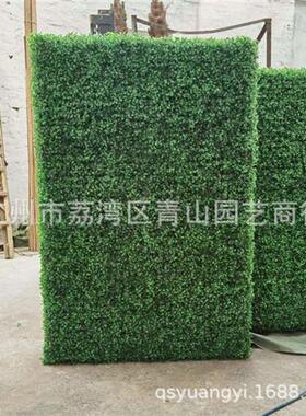 米兰草篱笆可定米兰草系列造型盆栽方块绿色仿真植物厂家批发