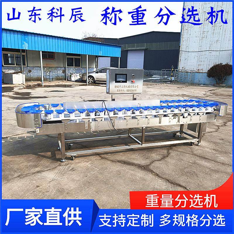 牡蛎输送线输送式重量分选机 海蛎子重量分选机 生蚝称重分选机,淘宝优惠券,粉丝福利购,淘宝优惠卷
