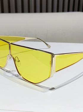 欧洲站时尚潮新款一体式太阳镜金属高级感韩版墨镜欧美潮流大框休