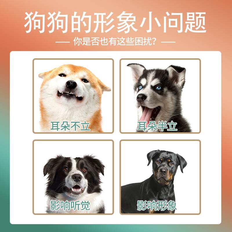 马犬专用狗狗立耳贴竖耳辅助器宠物大型犬幼犬立耳神器耳朵固定器 - 图2