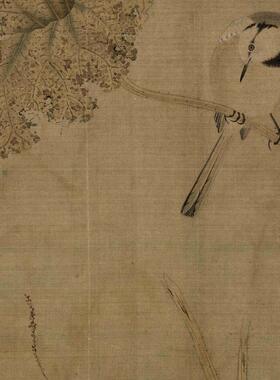 宋人小品李迪鹡鸰荷叶图书画花鸟