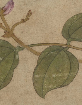 王渊蜻蜓图名画复制品宋画小品工