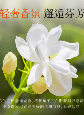 韩伦美羽护手霜保湿滋润栀子花