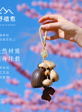森野植愈 天然植物果壳包包挂件玄月种子果实手摇铃小挂饰送礼物