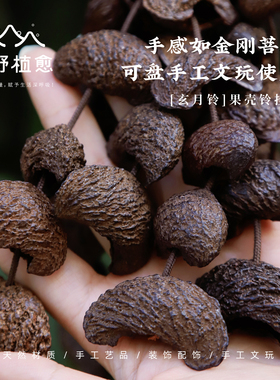自带清香疗愈解压果壳手摇铃
