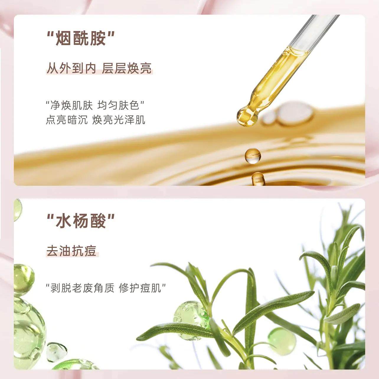 Plantvoice植物语录白松露烟酰胺焕肤沐浴露滋润补水保湿留香官方,淘宝优惠券,粉丝福利购,淘宝优惠卷