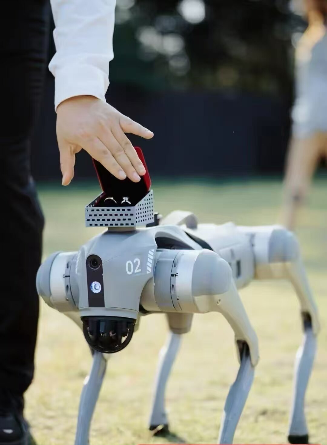 Customized Yushu Go2pro air series Yunshengchu intelligent robot dog head proposal ring box customization