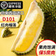 Xidemao Malay imported tree-ripened liquid nitrogen red-fleshed durian