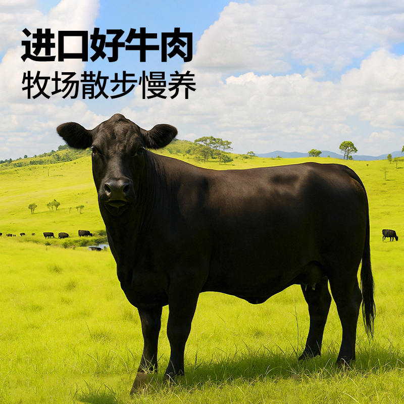 哥哥鲜进口肥牛肉卷澳洲安格斯牛肉卷雪花肥牛肉片火锅烧烤食材