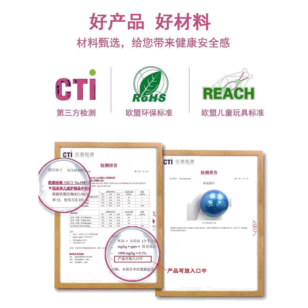专业康复训练球瑜伽球儿童脑感统平衡巴氏球早产大笼球送气筒