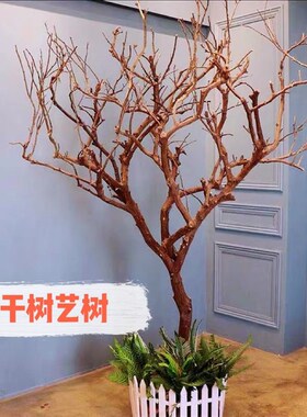 白色干树枝造景干枝树干许愿树枯树室内造型O树枝干原木树枝装饰