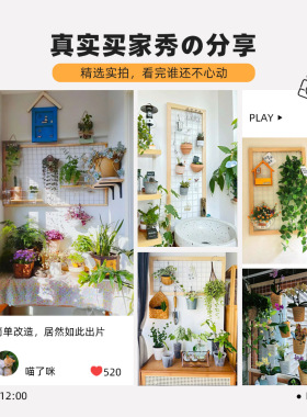 新品阳台墙面花架网格壁挂式绿植架实木悬挂置物架铁艺室内花架子