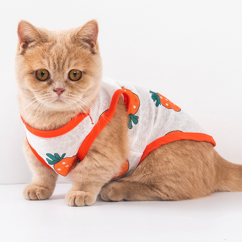 猫咪衣服防掉毛夏季薄款美短蓝猫布偶幼猫小型犬狗狗夏天空调背心 - 图0