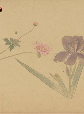 明孙克弘百花图花卉国画微喷复制