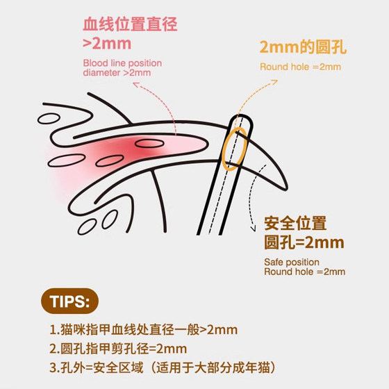 Cat nail clipper special cat nail clipper