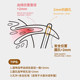 Cat nail clipper special cat nail clipper