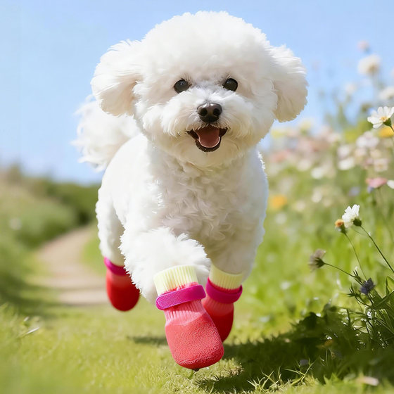 Baipetdao dog waterproof and non-slip outdoor shoes and socks
