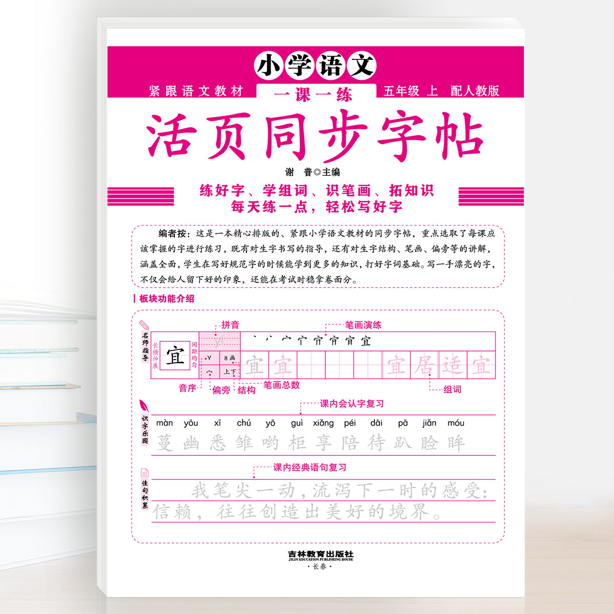 2024新版 小学语文一课一练活页同步字帖 1-6年级 每天一练 轻松写好字 紧跟语文教材 配人教版