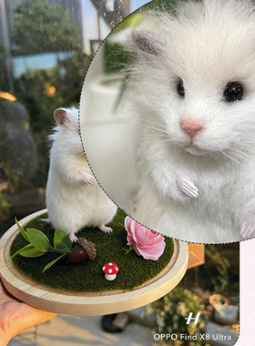 欧泡羊毛毡宠物定制仿真模型照片猫咪玩偶纯手工柯基狗狗离世纪念