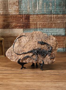 创意恐龙化石标本模型饰品家客厅办公室桌面装饰品窗口道具