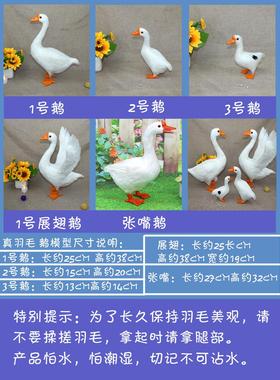 仿真鹅模型拍照大白鹅摆件室内园林草地装饰鹅摄影拍照道具鹅鸭子
