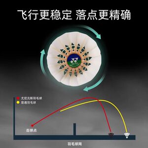 YONEX尤尼克斯羽毛球AS05/02/9/50官方正品YY比赛鹅毛/鸭毛专业球