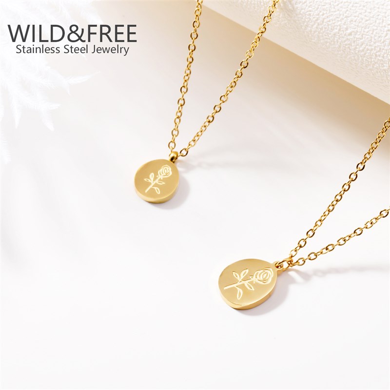 网红Wild&Free nd Stainless Steel Jewelry Set Gold Plated Nec - 图1