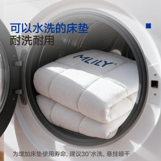 Dream Lily Langyiyun Class A mattress protector
