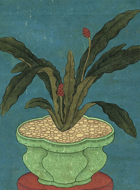 宋画万年青图古代花鸟画微喷复制