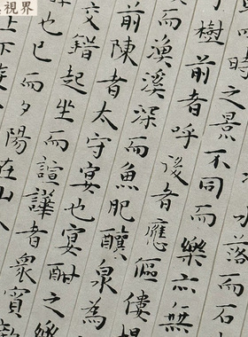 王宠小楷醉翁亭记复古书法字画真