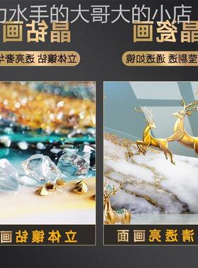 晶瓷画镶钻人物装饰画简约玄关走廊墙壁画艺术画客厅装饰