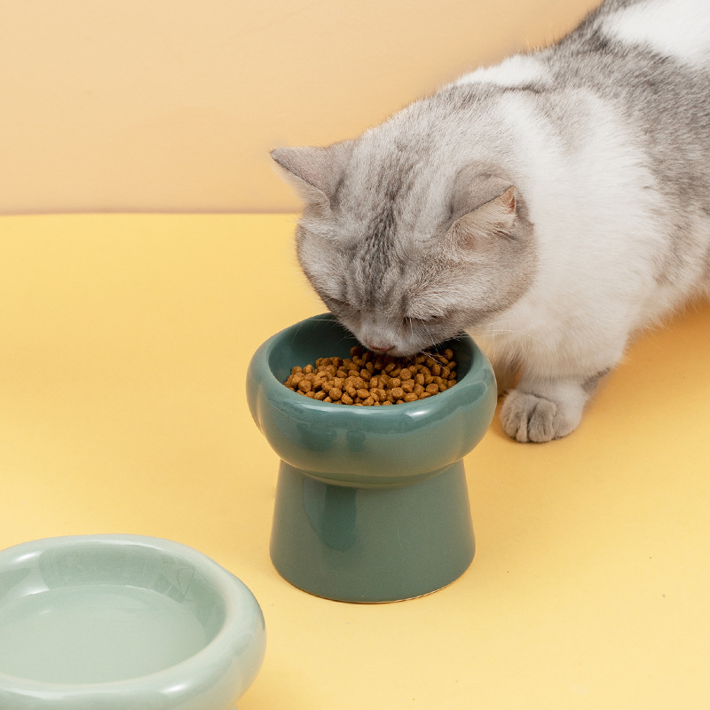 花瓣陶瓷猫碗高脚猫碗猫水碗宠物猫食盆狗盆狗碗保护颈椎猫粮碗-图2