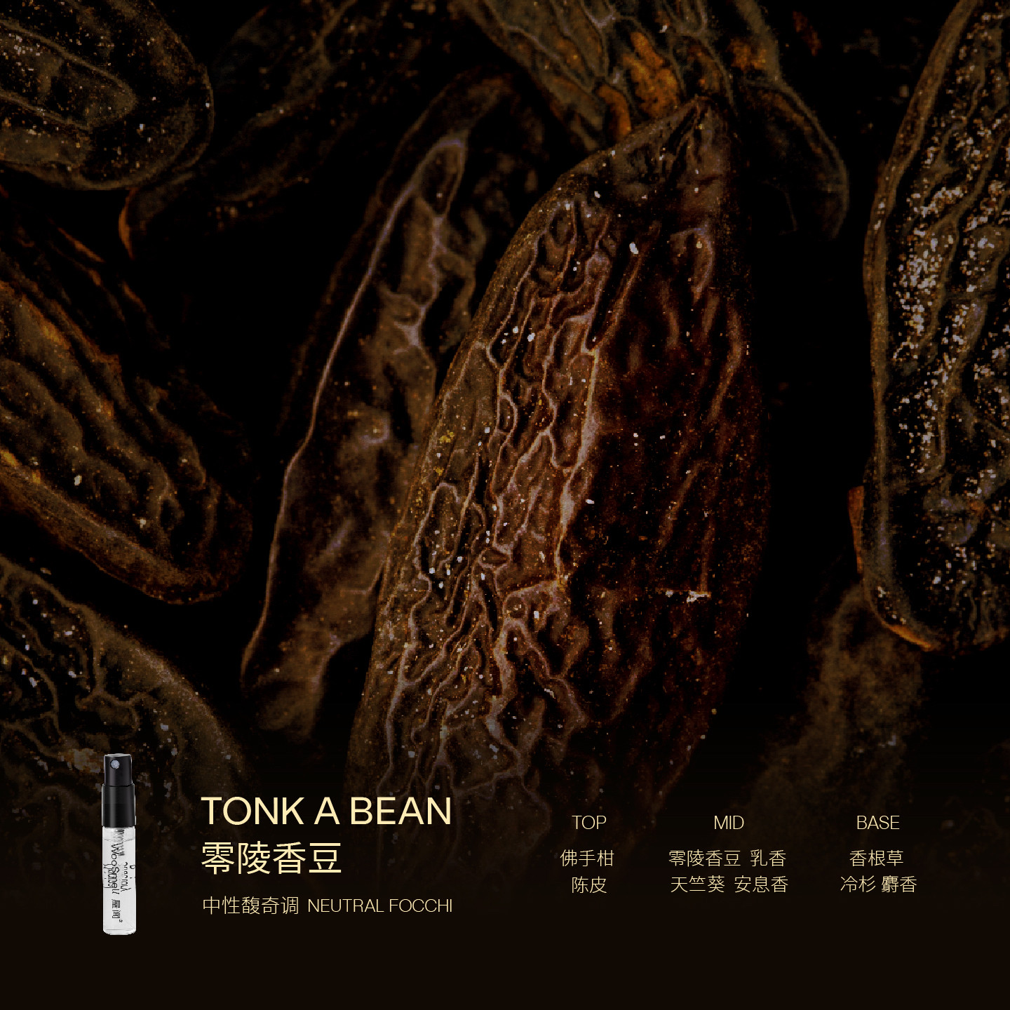 【新人礼】WooSmell屋闻 大树系列香氛香水小样体验礼 享回购券,淘宝优惠券,粉丝福利购,淘宝优惠卷