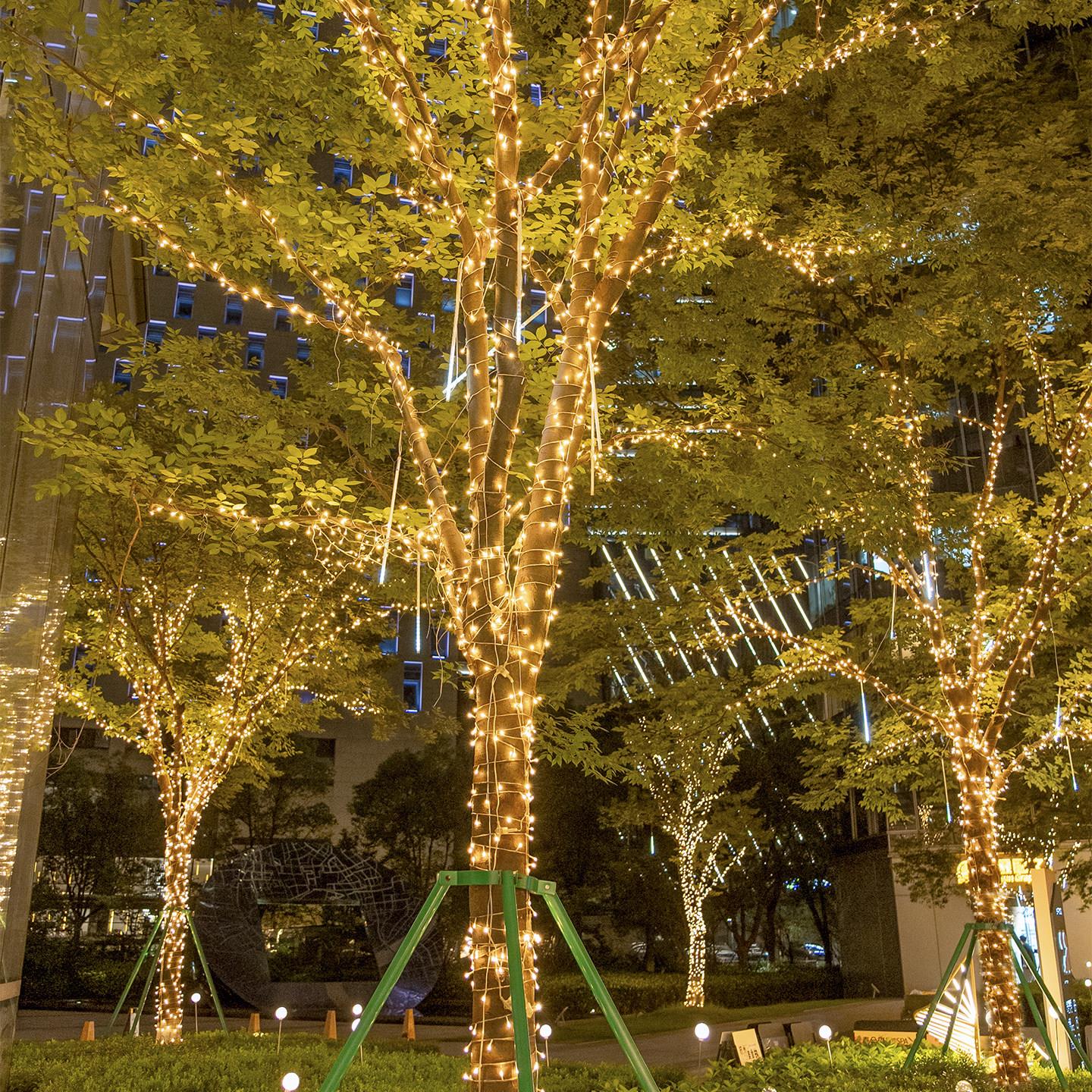 24V low voltage gypsophila colorful string lights waterproof engineering lighting holiday camping decoration solar tree hanging string lights