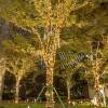 24V low voltage gypsophila colorful string lights waterproof engineering lighting holiday camping decoration solar tree hanging string lights
