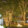 24V low voltage gypsophila colorful string lights waterproof engineering lighting holiday camping decoration solar tree hanging string lights
