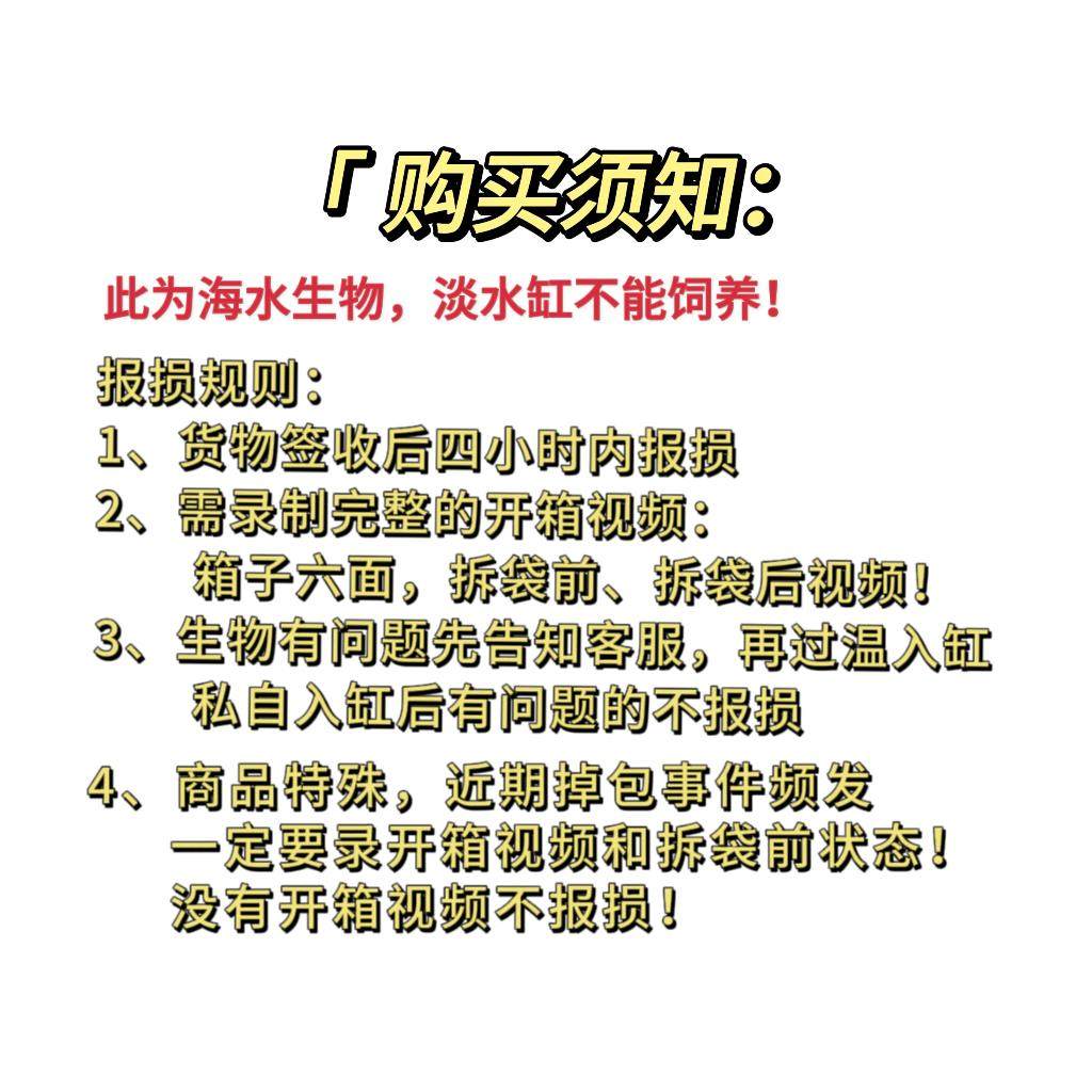 草皮珊瑚荧光绿长须软体珊瑚草皮长须绿草皮皮革手星花海水缸,淘宝优惠券,粉丝福利购,淘宝优惠卷