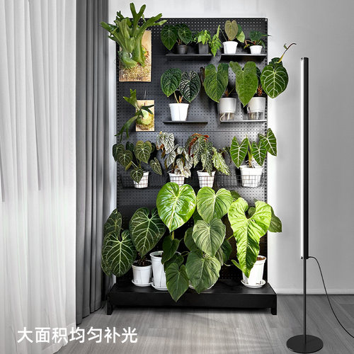 Barrina佰利纳全光谱落地侧发光植物补光灯仿太阳防眩热植生长灯 - 图0