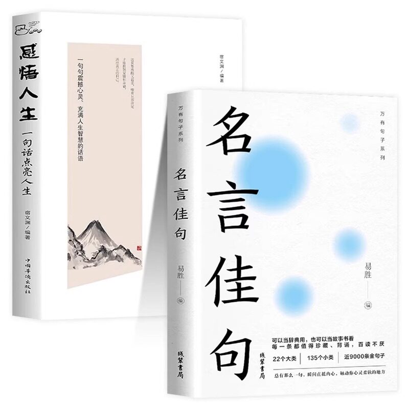 全新正版名言佳句+感悟人生语录大全人生感悟初中生高中生小学生名人名言经典语录励志书籍格言警句优美句子积累好词好句好段大全