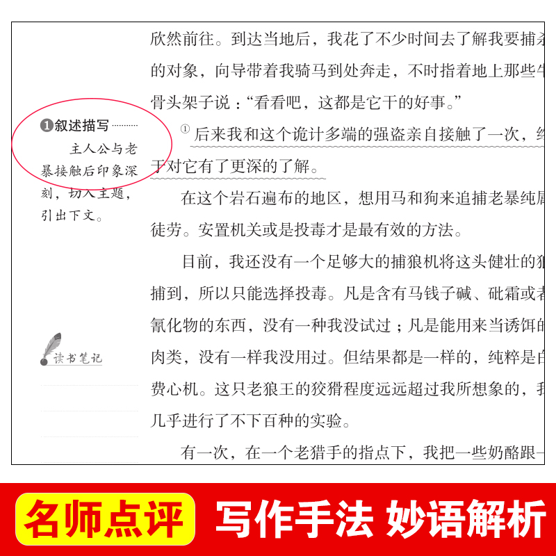 西顿动物故事集 西顿野生故动物故事集精选小说全集 天地出版社原著正版三年级四 五六年级小学生课外阅读书籍适读 动物记