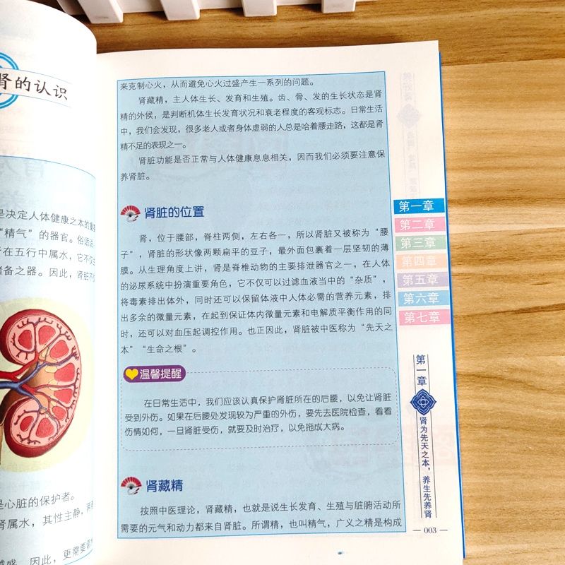 养好肾 齿固发黑腰腿不老 中医养肾彩色版 中医五脏养生系列教你调养五脏食疗按摩刮痧拔罐艾灸多方面护养肾书籍 养好五脏正版书籍