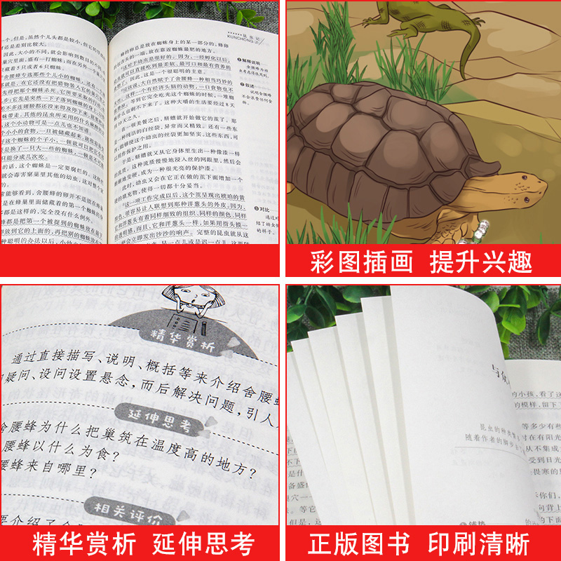非洲民间故事五年级正版完整版立人天地出版社JST快乐读书吧适合5年级上册适读经典书目课外阅读书籍人教版老人的智慧曼丁之狮非州